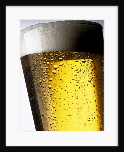 Pint of Cold Lager Beer with Foam Head by Anonymous