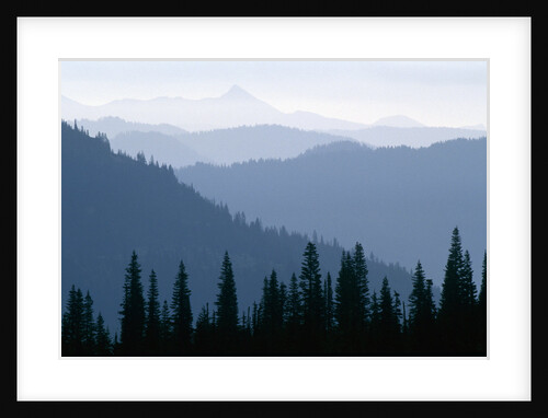Fog in Cascade Range by Anonymous