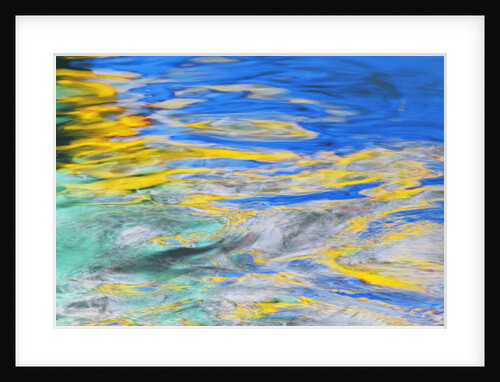 Canal Reflection by Anonymous