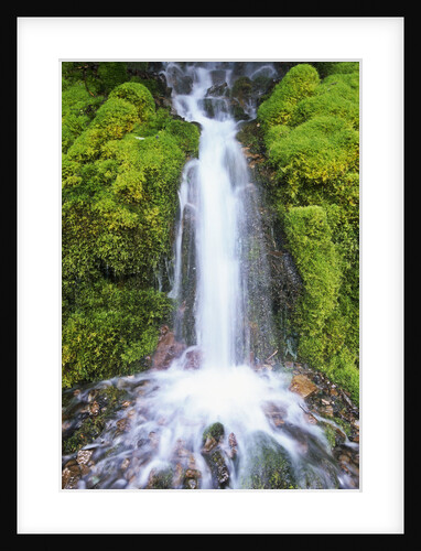Waterfall Over Moss Covered Rocks by Anonymous