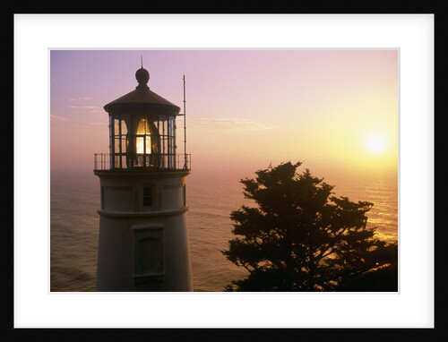 Sunset at Heceta Head Lighthouse in Oregon by Anonymous
