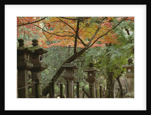 Lanterns at Kasuga Taishi Shine by Anonymous