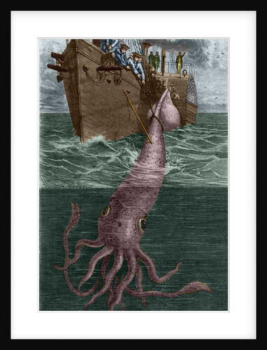 Illustration of the Crew of the Alecton Attempting to Catch a Giant Squid by Anonymous
