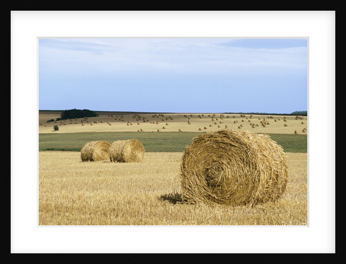 View of a field of haystacks by Anonymous