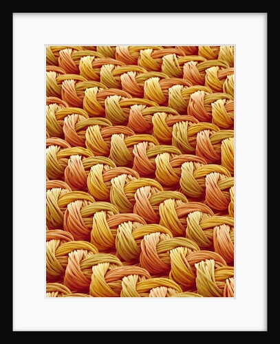 Polyester and Nylon Cloth of Woman's Bodybriefer by Anonymous