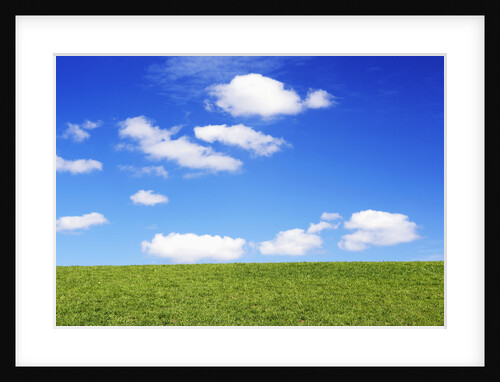 Clouds in Blue Sky Over Green Grass by Anonymous