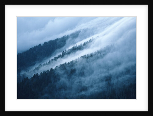 Fog in the Smokey Mountains by Anonymous
