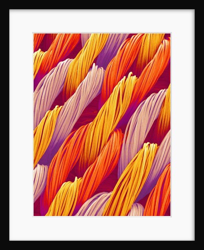 Cloth of a Brassiere Strap by Anonymous