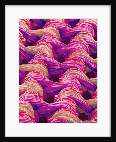 Polyester and Nylon Cloth of Woman's Bodybriefer by Anonymous