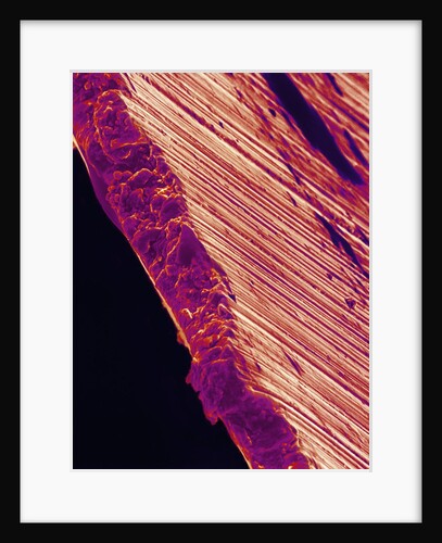 Cutting Edge of Used Razor Blade by Anonymous