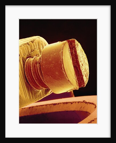 Screw on a Watch by Anonymous