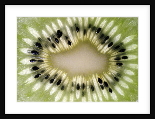 Kiwi Slice by Anonymous