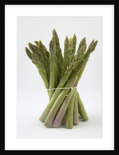 Bunch of Asparagus by Anonymous