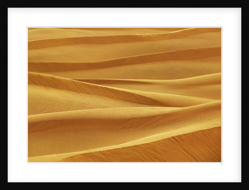Sam Sand Dunes by Anonymous