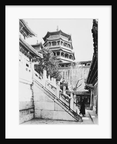 The Summer Palace by Anonymous