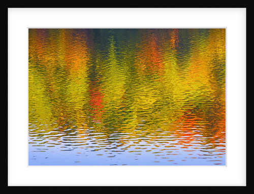 Fall Trees Reflected in Lake by Anonymous