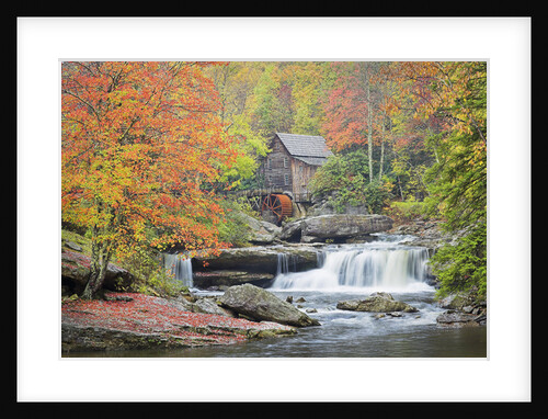 Rushing Creek and Old Gristmill by Anonymous