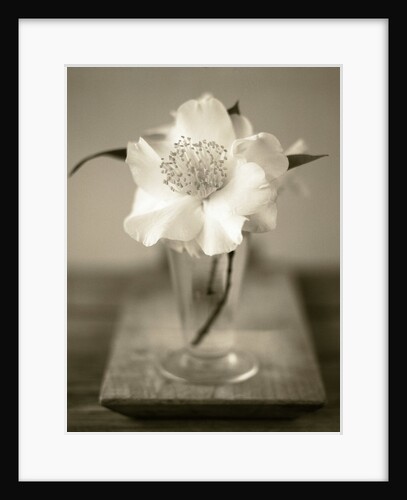 Elegant Flower in Small Vase by Anonymous