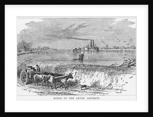 Scene in the Levee District, New Orleans by Anonymous