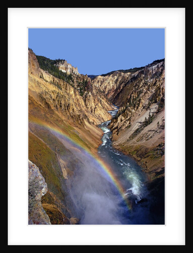 Rainbow over Lower Yellowstone Falls by Anonymous