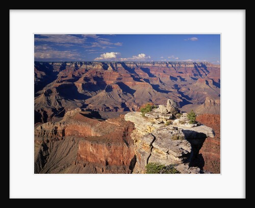 South Rim of Grand Canyon by Anonymous