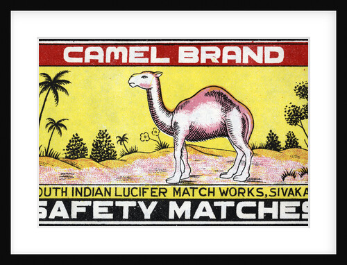 Camel Brand Indian Matchbox Label by Anonymous