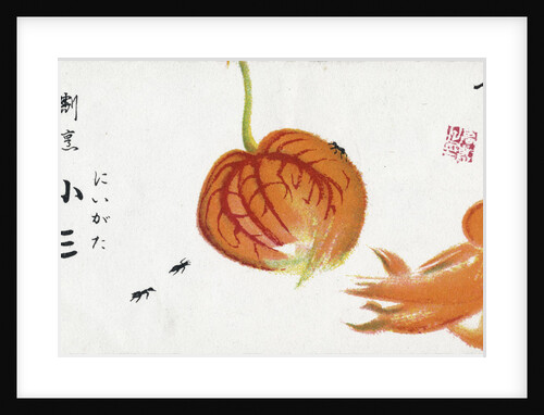Japanese Advertisement with Chinese Lantern Plant by Anonymous