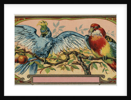 Perfume Label with Two Parrots by Anonymous