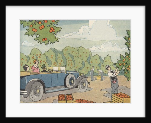 Illustration of a Chauffered Car in an Orange Grove by Anonymous