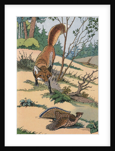 Illustration of a Fox Hunting an Injured Partridge by Anonymous