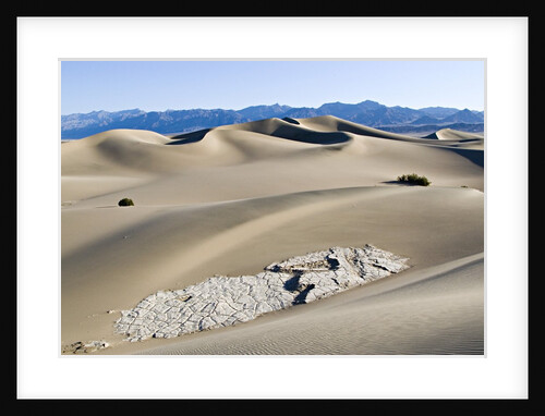 Cracked Rock Formation Amongst Sand Dunes by Anonymous
