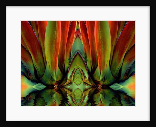 Inside a Flower by Anonymous