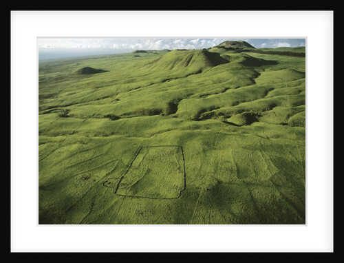 North Kohola Area by Anonymous