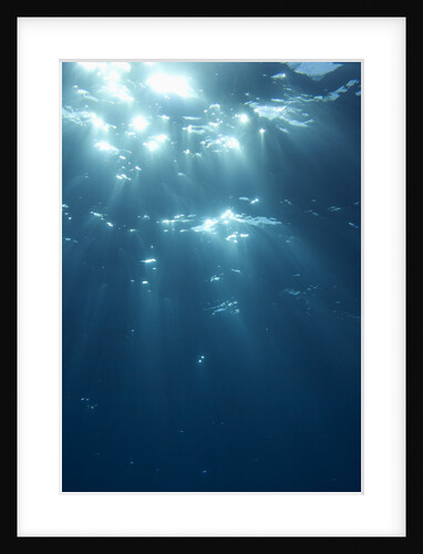 Sunbeams From Underwater by Anonymous