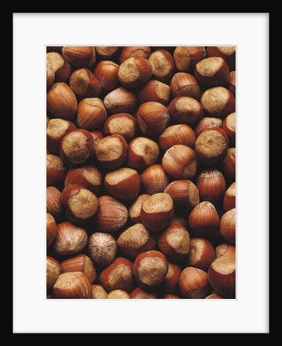 Hazelnuts in Shells by Anonymous