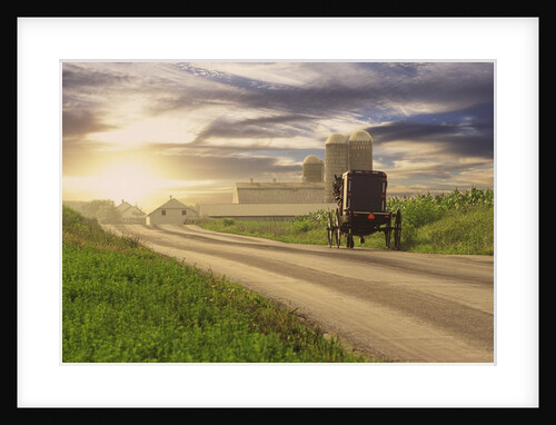 Amish Buggy on Road to Farm by Anonymous