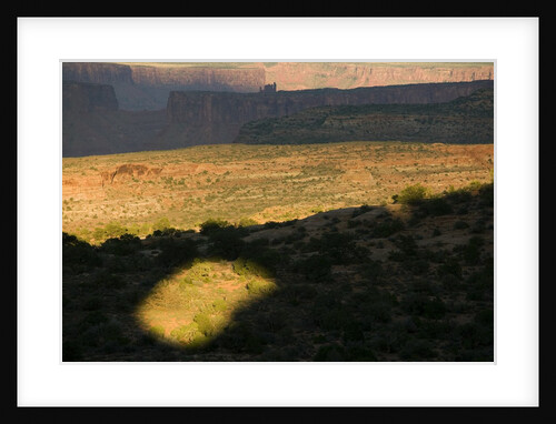Arches National Park by Anonymous