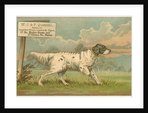 W.J. & F. Quennell Trade Card with an English Setter by Anonymous