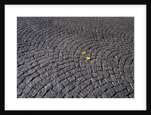 Patterned Cobblestones and Leaves by Anonymous