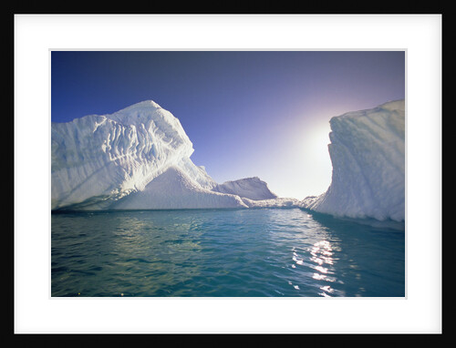 Icebergs in Evening Sun by Anonymous