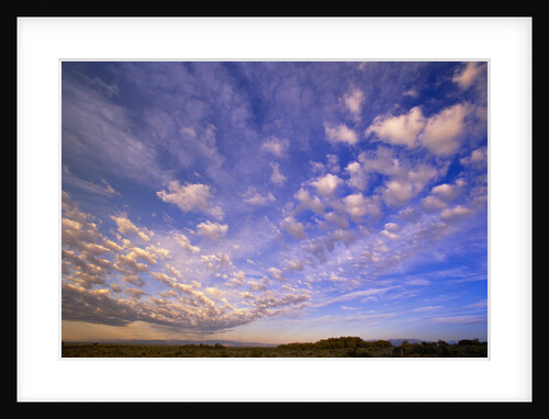 Cumulus Clouds at Sunrise by Anonymous