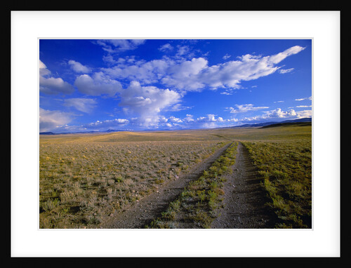 Ranch Road on Prairie by Anonymous