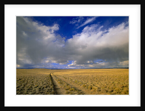 Ranch Road and Clouds by Anonymous