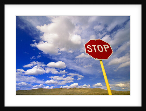 Stop Sign on Road Against Dramatic Sky by Anonymous