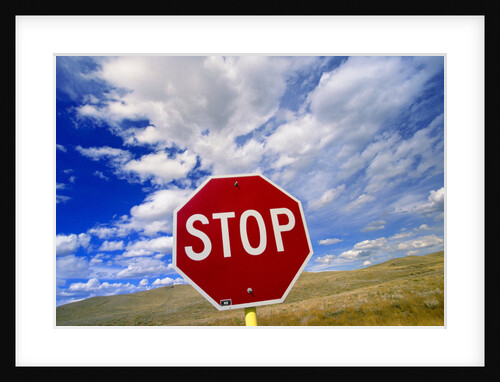 Stop Sign on Road Against Dramatic Sky by Anonymous