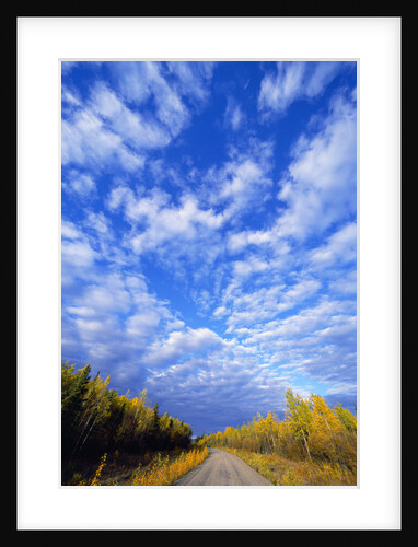 Gravel Road Under Dramatic Autumn Sky by Anonymous