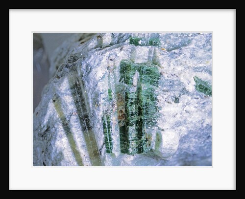 Actinolite by Anonymous