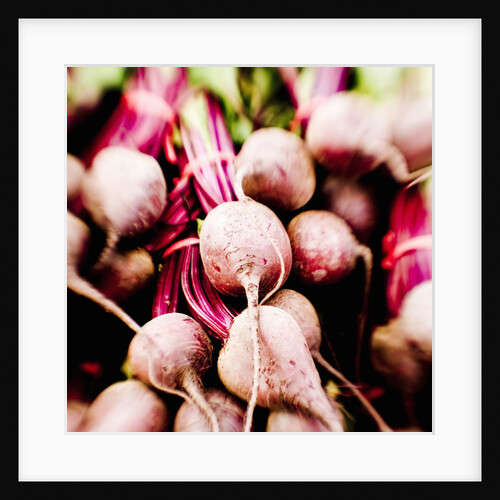 Fresh Organic Beets by Anonymous