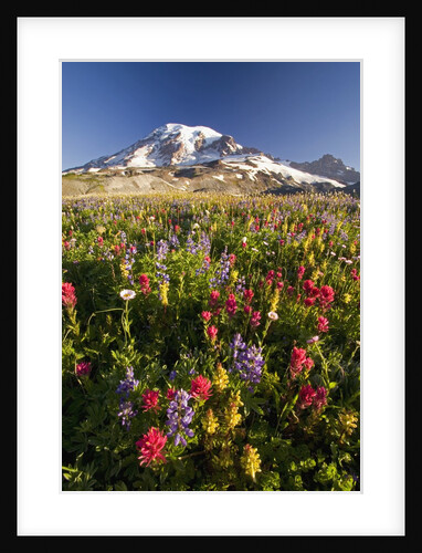 Mount Rainier and Wildflowers by Anonymous