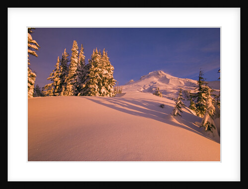 Sunrise on Mount Hood Timberline by Anonymous